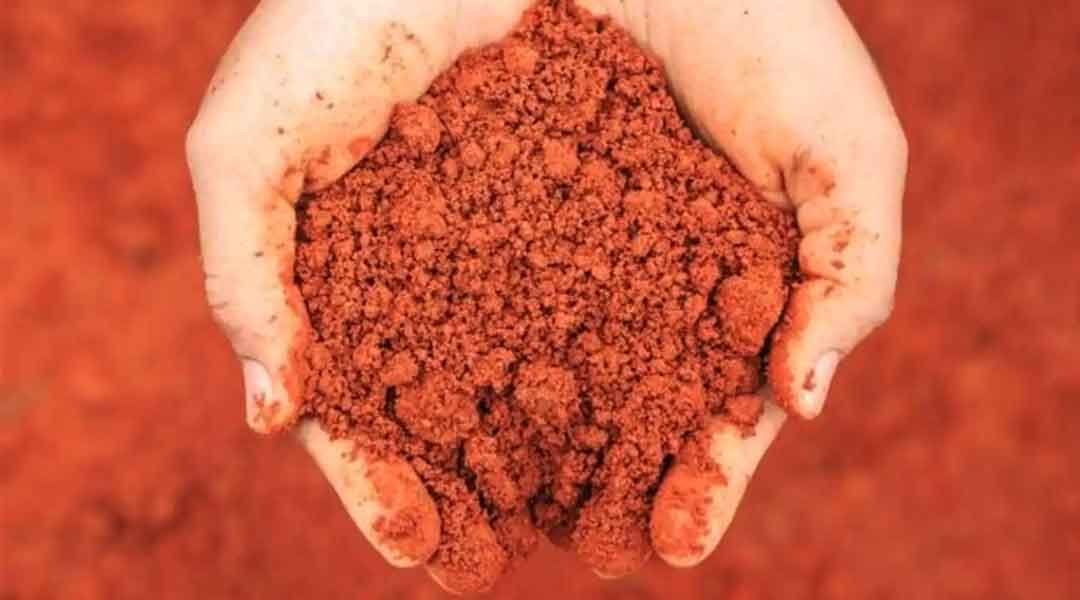 Garden Red Soil