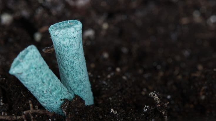 Palm Fertilizer Spikes