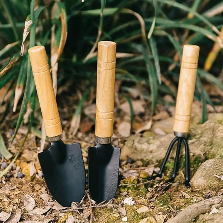 Hand Trowel Set