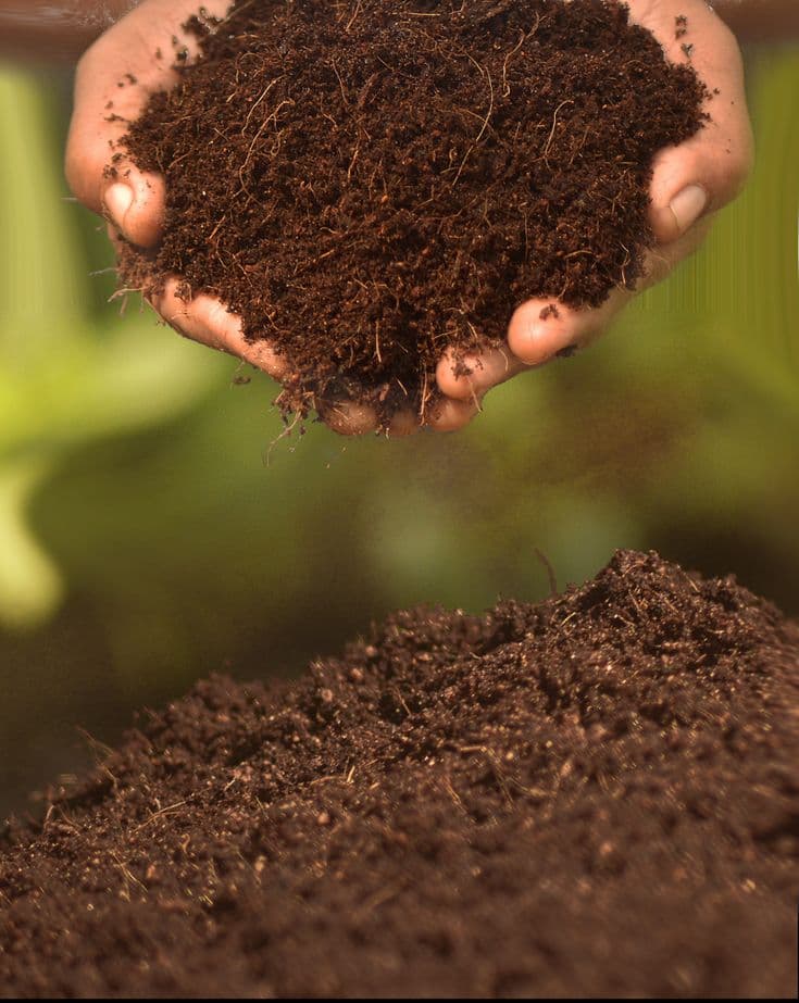 Cocopeat Block