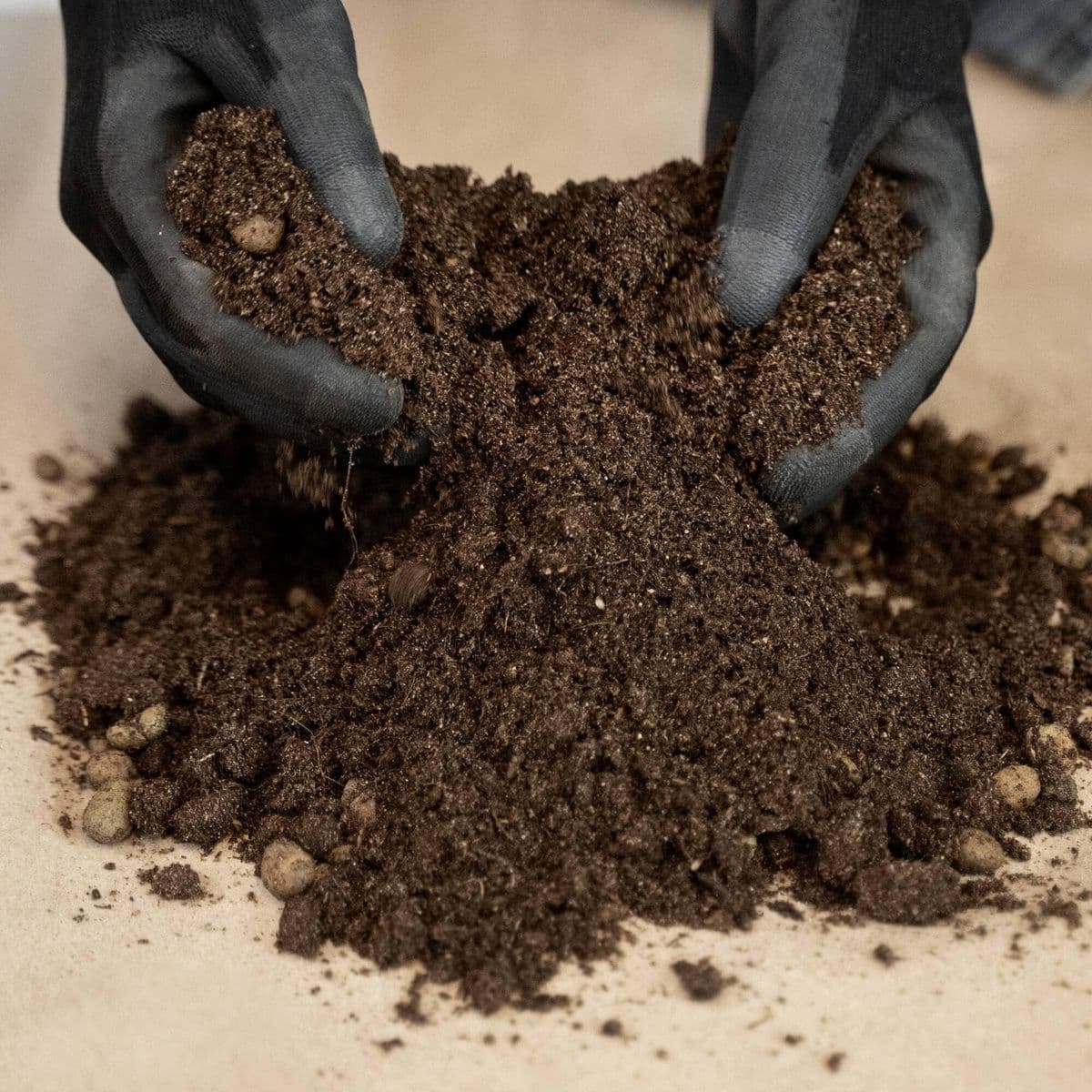 Goat Manure