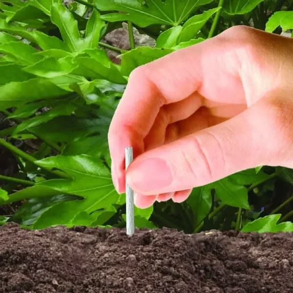 Plant Food Green Sticks